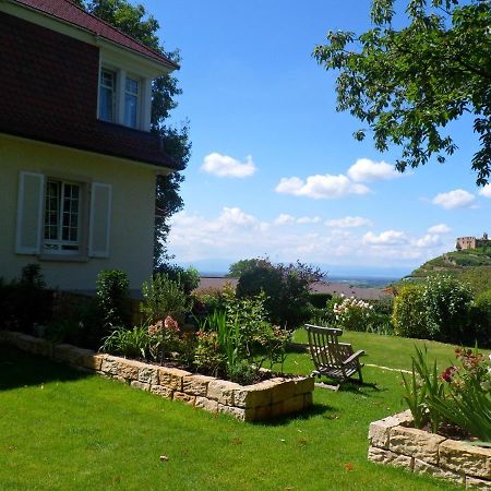 Villa Burgblick - Luxury Bnb Staufen im Breisgau Eksteriør billede