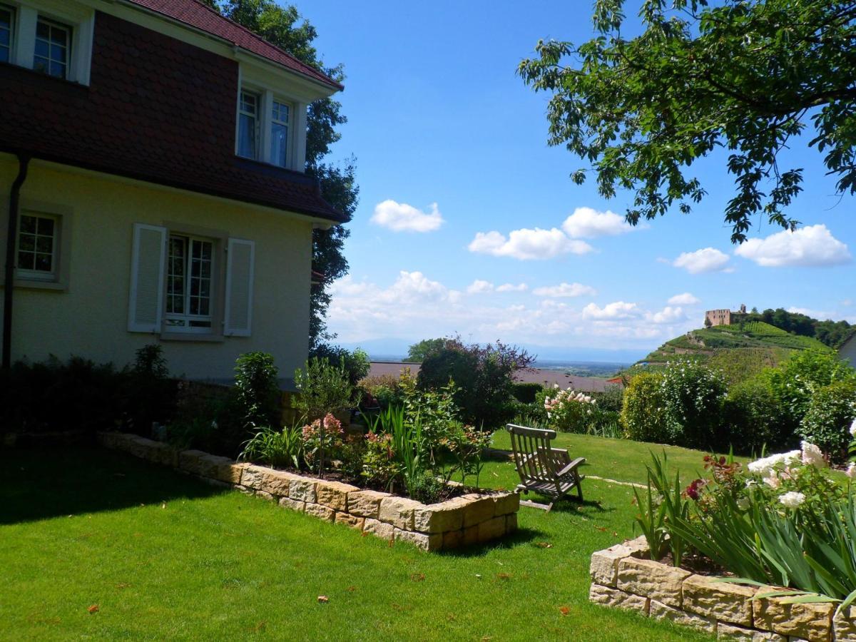 Villa Burgblick - Luxury Bnb Staufen im Breisgau Eksteriør billede